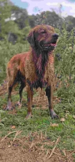 0db339ddb38a07fe45cbda272ad57ebb_108x233