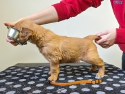 7cde8a5622a3f3bbe620f8cd07b61c78_183