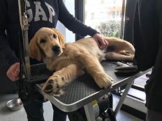 9deb16a14eccf516e59aa100ba1a1a54_232x174_fill