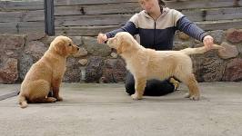 a1cacd0da1e15be4f1a1760c90a2bbb4_266