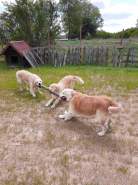 b1c33b83aff18b34e1310641ae454786_138x185