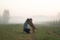 f5ca381bbce1de1d708bc0706b77ad9e_195